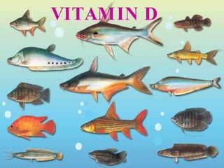 VITAMIN D 