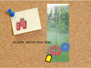 PLANTS PROTECTION RING
6
 