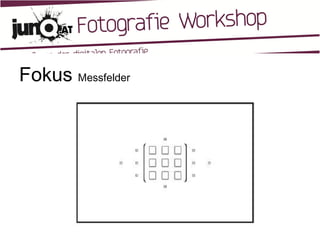 Fokus  Messfelder 