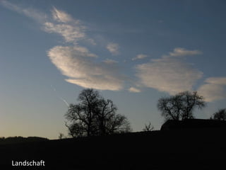 Landschaft 