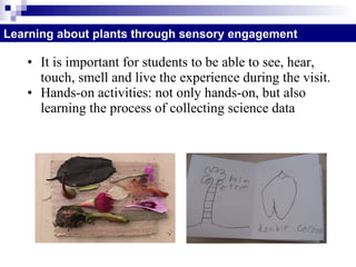 It is important for students to be able to see, hear, touch, smell and live the experience during the visit.  Hands-on activities: not only hands-on, but also learning the process of collecting science data  Learning about plants through sensory engagement 