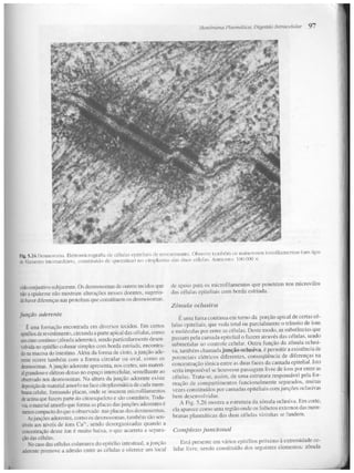 Junqueira &amp; carneiro   biologia celular e molecular