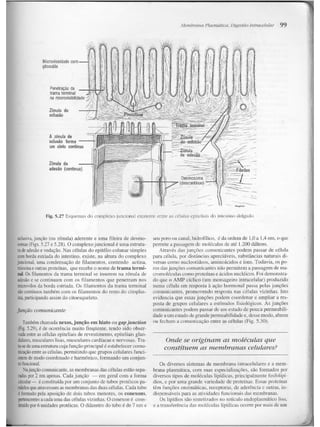 Junqueira &amp; carneiro   biologia celular e molecular