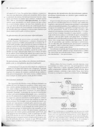 Junqueira &amp; carneiro   biologia celular e molecular
