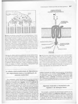 Junqueira &amp; carneiro   biologia celular e molecular