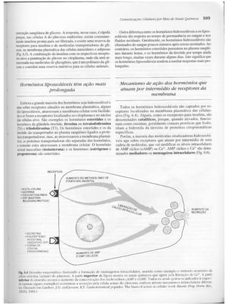 Junqueira &amp; carneiro   biologia celular e molecular