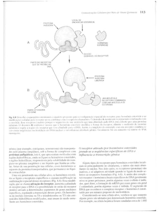 Junqueira &amp; carneiro   biologia celular e molecular