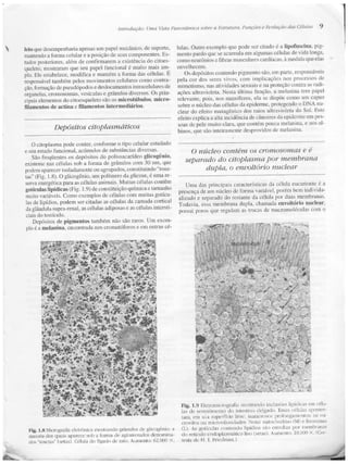 Junqueira &amp; carneiro   biologia celular e molecular