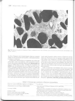 Junqueira &amp; carneiro   biologia celular e molecular