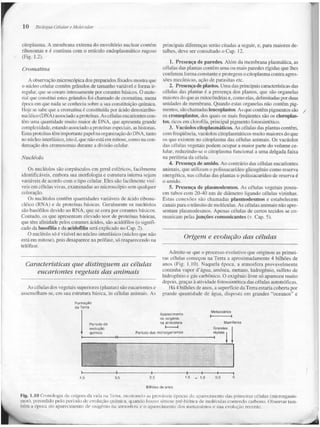 Junqueira &amp; carneiro   biologia celular e molecular