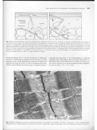 Junqueira &amp; carneiro   biologia celular e molecular