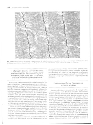 Junqueira &amp; carneiro   biologia celular e molecular
