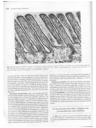 Junqueira &amp; carneiro   biologia celular e molecular