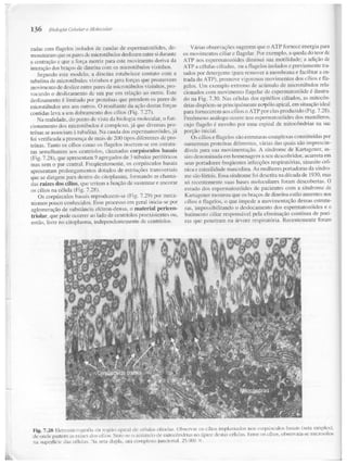 Junqueira &amp; carneiro   biologia celular e molecular