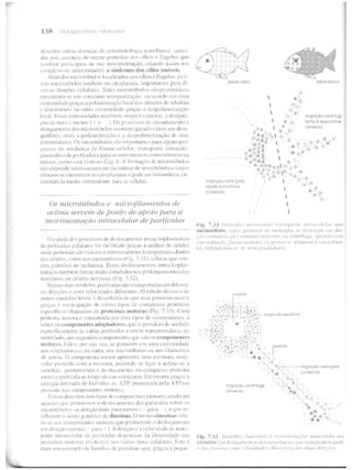Junqueira &amp; carneiro   biologia celular e molecular