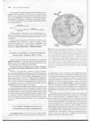 Junqueira &amp; carneiro   biologia celular e molecular