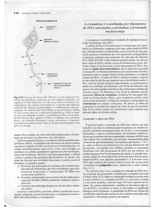 Junqueira &amp; carneiro   biologia celular e molecular