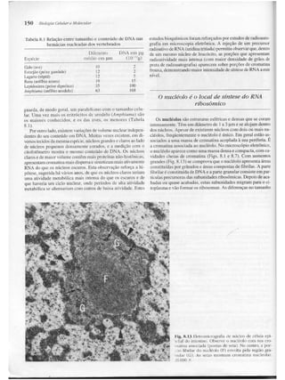 Junqueira &amp; carneiro   biologia celular e molecular