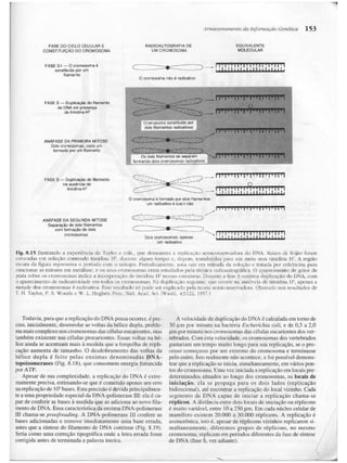 Junqueira &amp; carneiro   biologia celular e molecular