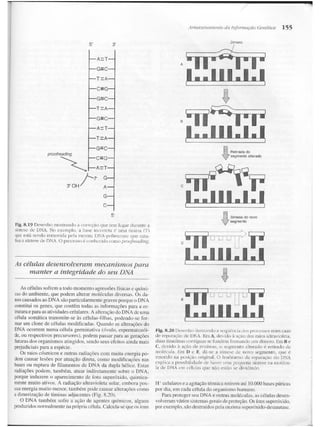 Junqueira &amp; carneiro   biologia celular e molecular