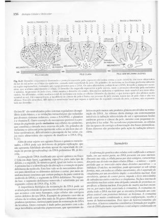 Junqueira &amp; carneiro   biologia celular e molecular