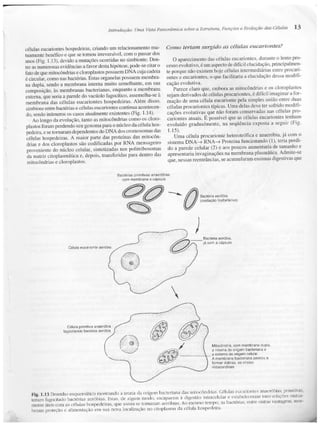 Junqueira &amp; carneiro   biologia celular e molecular