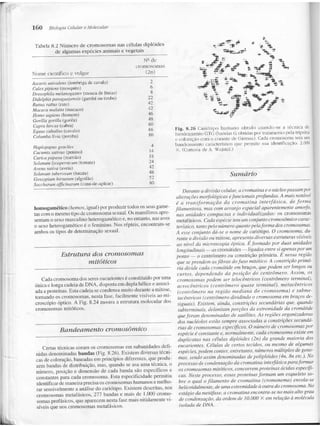 Junqueira &amp; carneiro   biologia celular e molecular