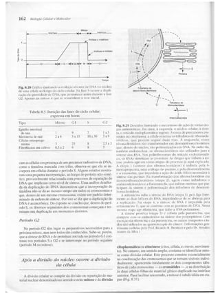 Junqueira &amp; carneiro   biologia celular e molecular