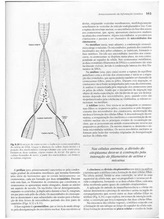 Junqueira &amp; carneiro   biologia celular e molecular