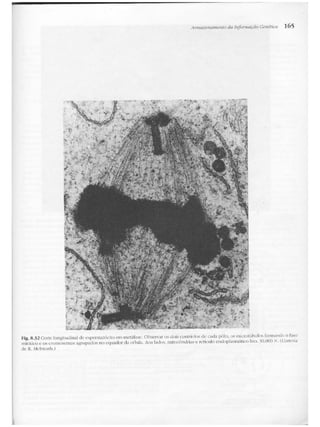 Junqueira &amp; carneiro   biologia celular e molecular