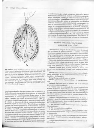 Junqueira &amp; carneiro   biologia celular e molecular