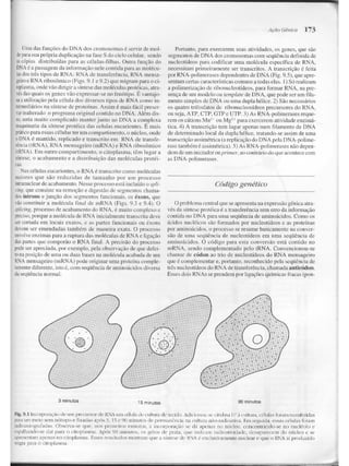 Junqueira &amp; carneiro   biologia celular e molecular