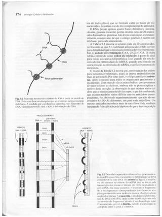 Junqueira &amp; carneiro   biologia celular e molecular
