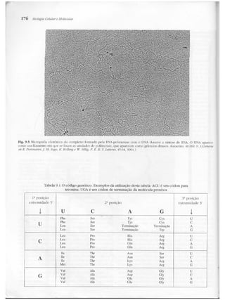 Junqueira &amp; carneiro   biologia celular e molecular