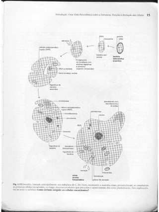 Junqueira &amp; carneiro   biologia celular e molecular