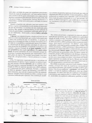 Junqueira &amp; carneiro   biologia celular e molecular
