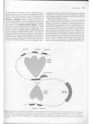 Junqueira &amp; carneiro   biologia celular e molecular