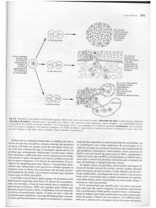 Junqueira &amp; carneiro   biologia celular e molecular