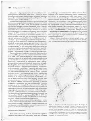 Junqueira &amp; carneiro   biologia celular e molecular