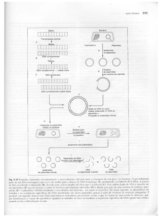 Junqueira &amp; carneiro   biologia celular e molecular