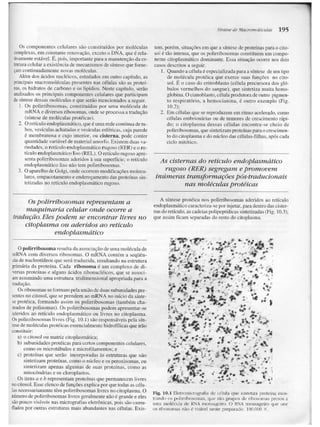 Junqueira &amp; carneiro   biologia celular e molecular