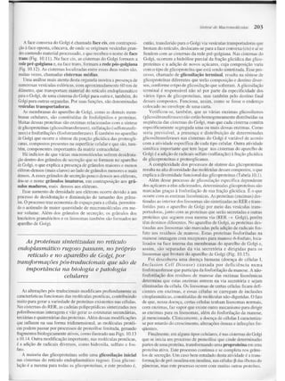 Junqueira &amp; carneiro   biologia celular e molecular