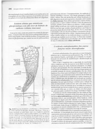 Junqueira &amp; carneiro   biologia celular e molecular