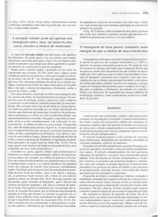 Junqueira &amp; carneiro   biologia celular e molecular