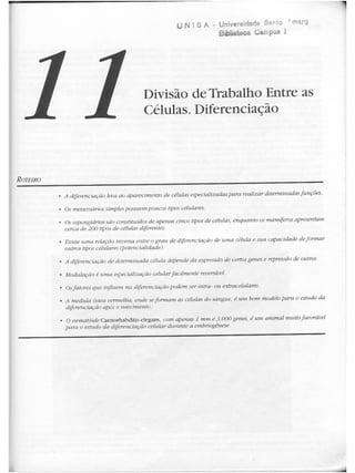 Junqueira &amp; carneiro   biologia celular e molecular