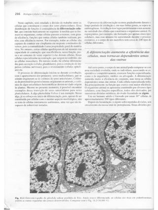 Junqueira &amp; carneiro   biologia celular e molecular