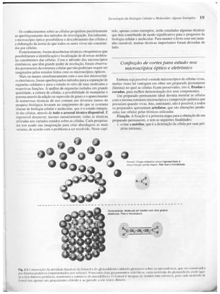Junqueira &amp; carneiro   biologia celular e molecular