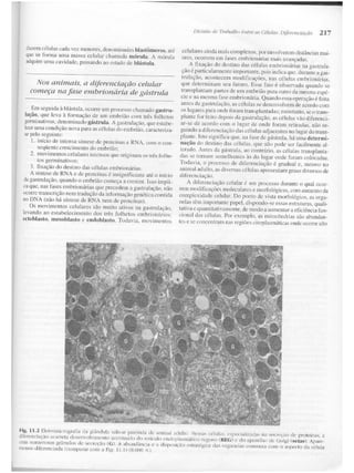 Junqueira &amp; carneiro   biologia celular e molecular