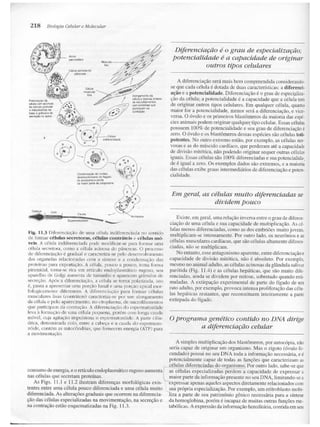 Junqueira &amp; carneiro   biologia celular e molecular