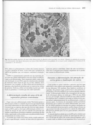 Junqueira &amp; carneiro   biologia celular e molecular